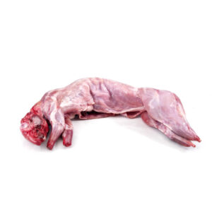 Ganzes Kaninchen gewolft