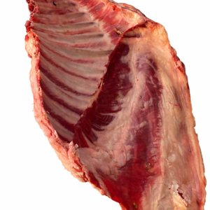 neu pferd rippen