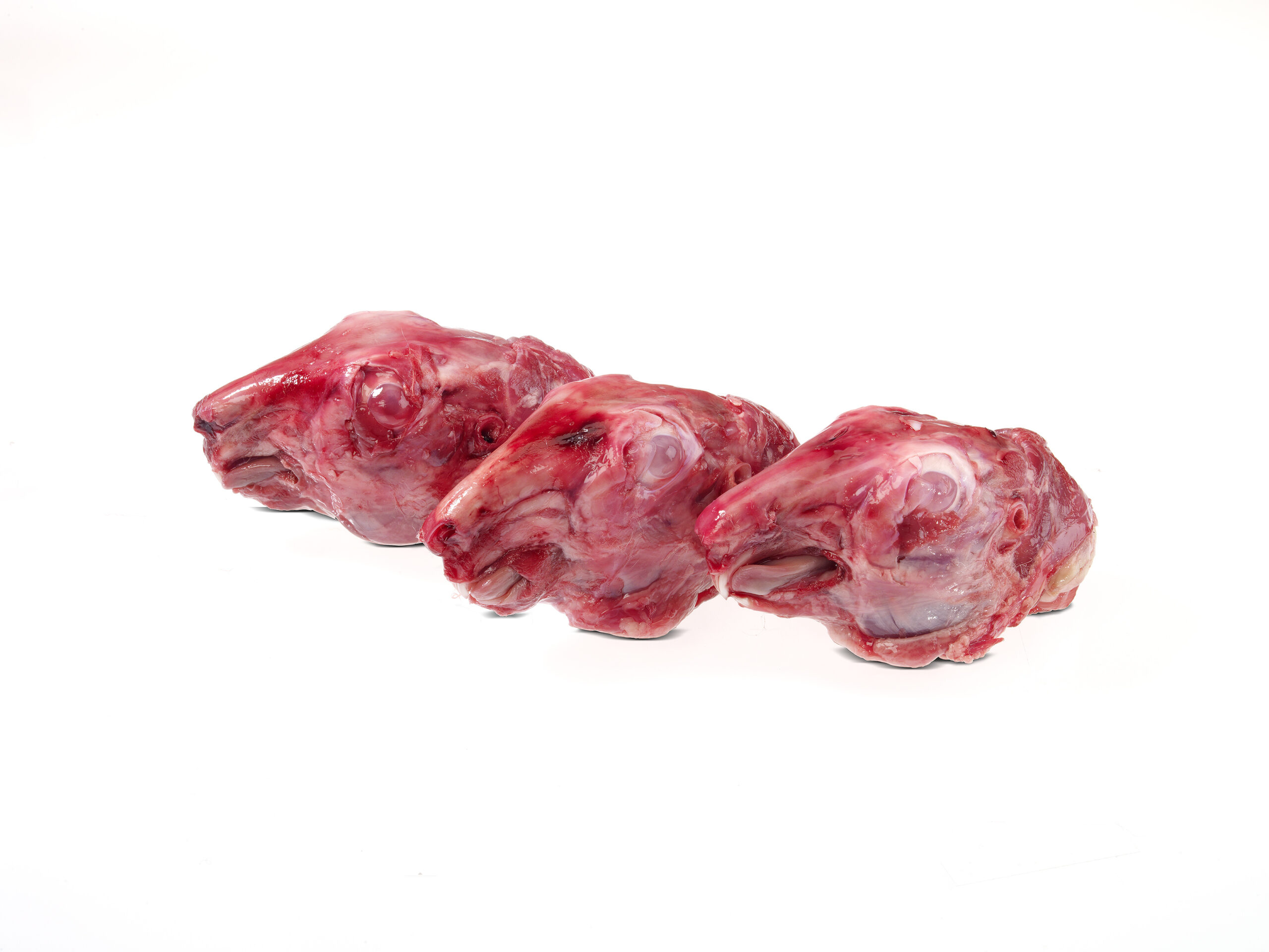 Kaninchen Köpfe 4 Stück