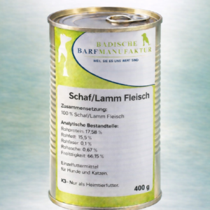 Schaf / Lamm